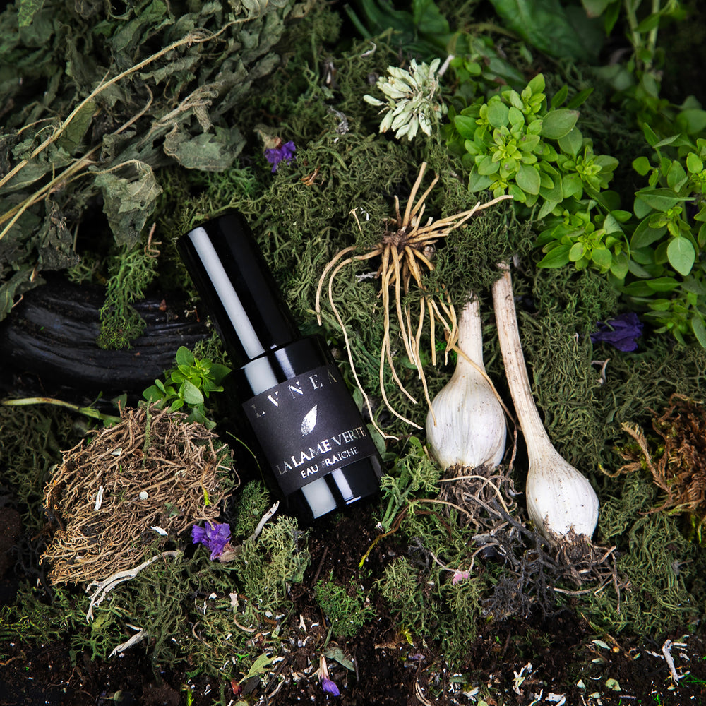 Close up of La Lame Verte eau fraîche, LVNEA's limited edition nettle perfume, sitting atop fresh earth and herbs, dried nettles, and other greenery.