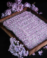 hundreds of lilac blooms face down on vegetal fat-covetred enfleurage tray