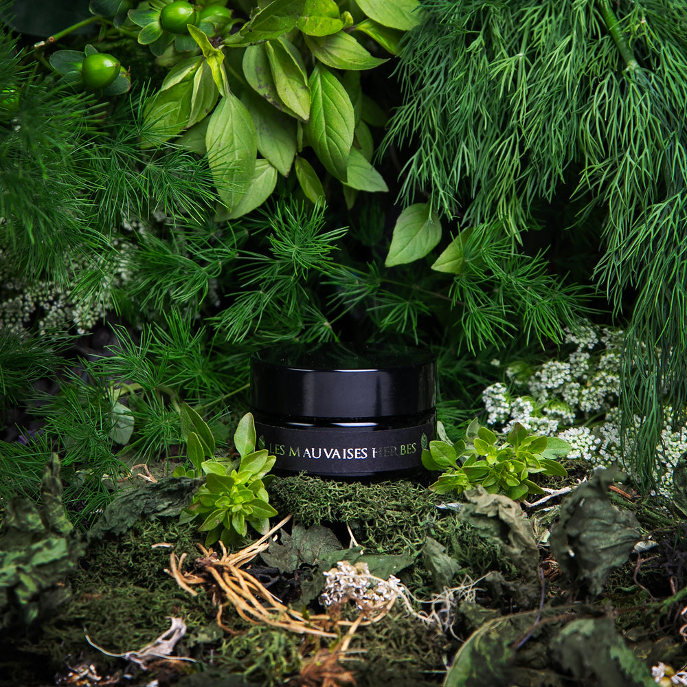 
                      
                        Black glass jar of LVNEA's limited edition Les Mauvaises Herbes powdered clay face mask, peeking out from a dense forest of herbs and vegetation
                      
                    