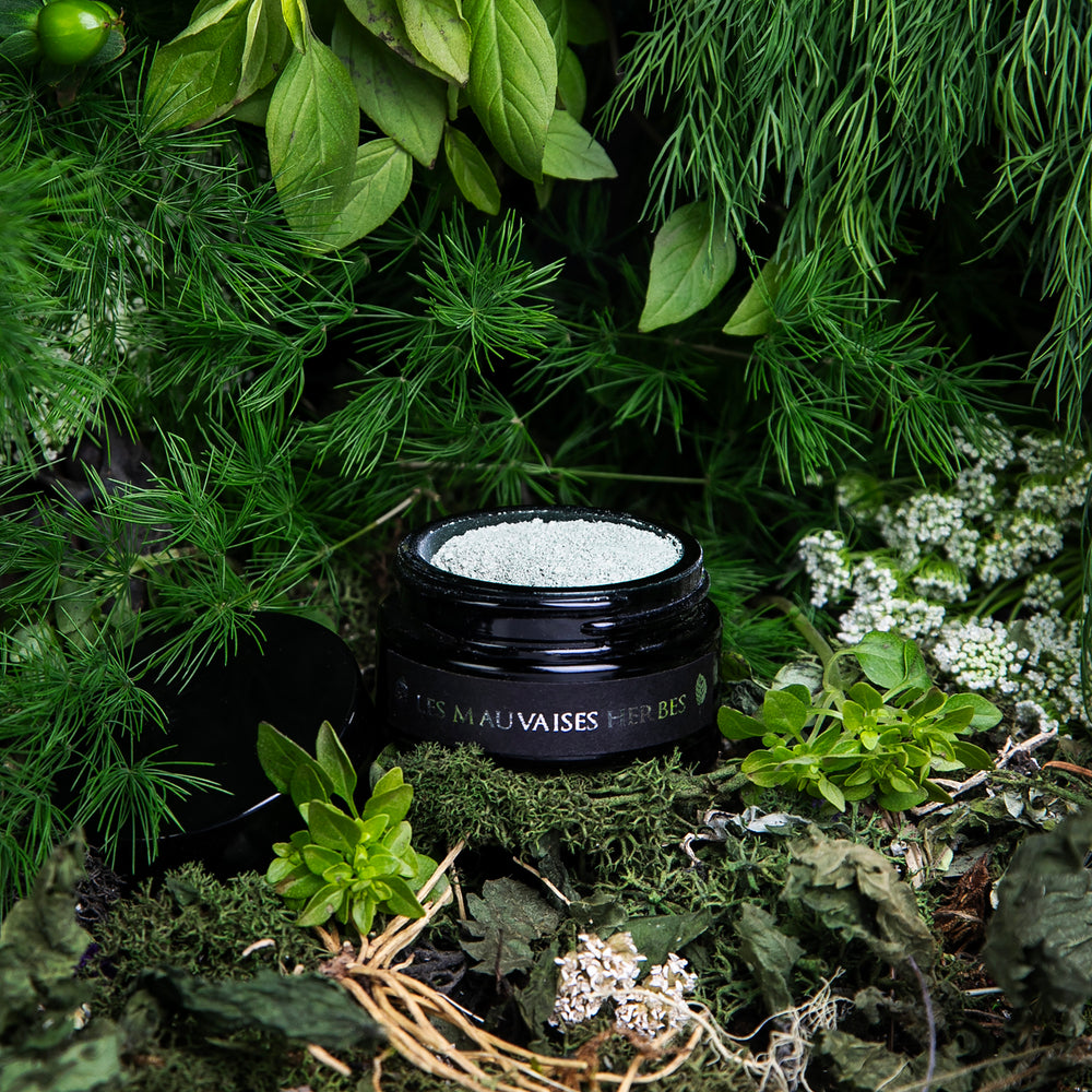 
                      
                        Opened black glass jar of LVNEA's limited edition Les Mauvaises Herbes powdered clay face mask, peeking out from a dense forest of herbs and vegetation.
                      
                    