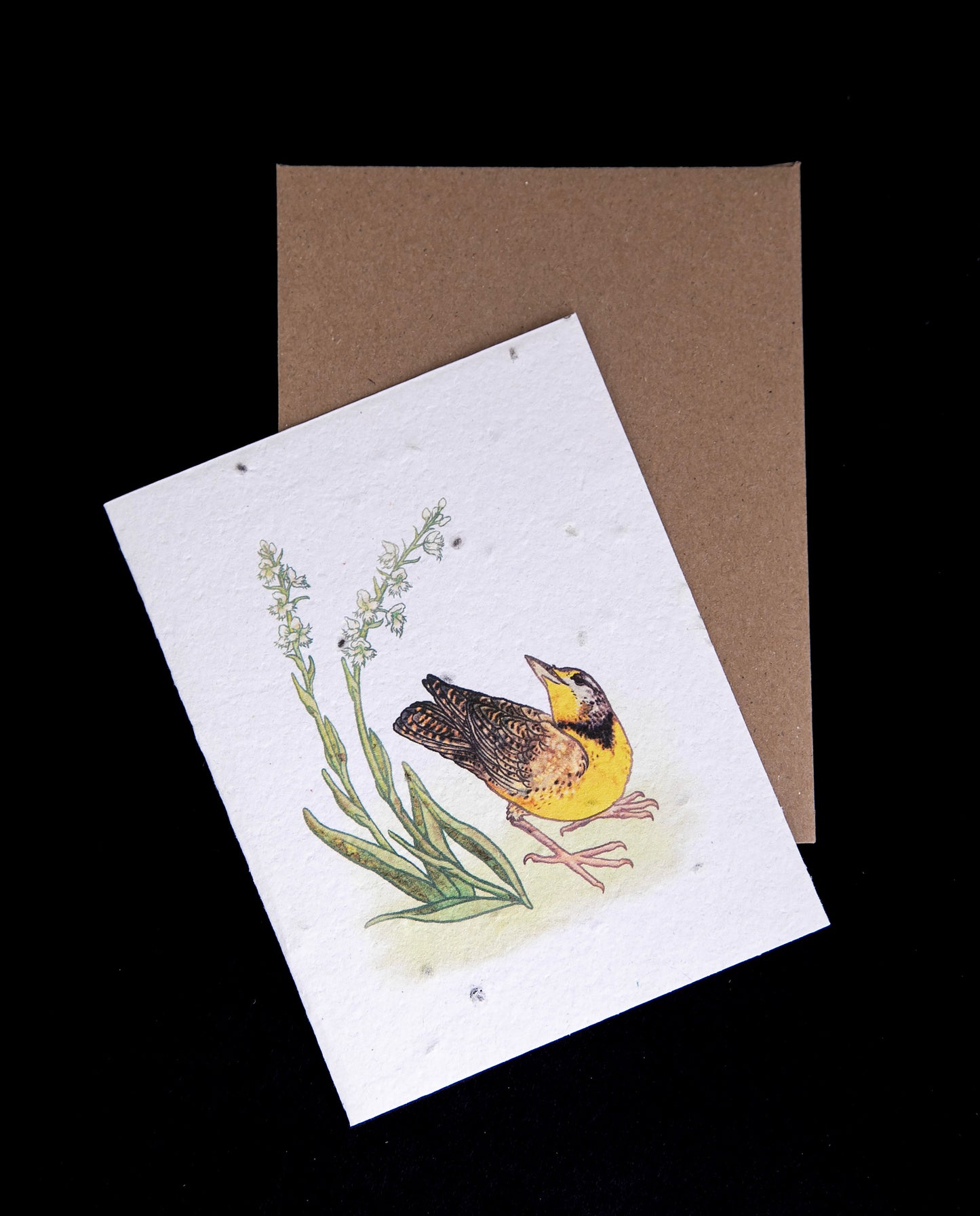 meadowlark greeting card sitting atop its kraft paper envelope