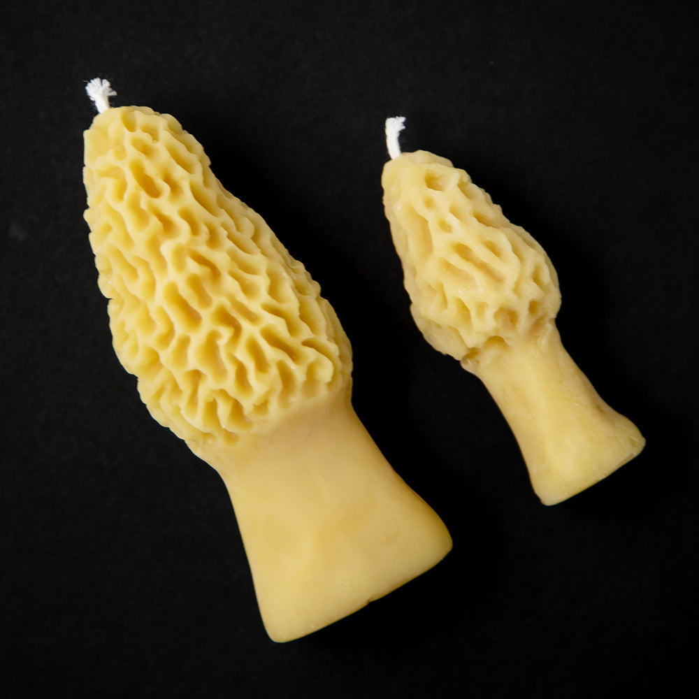 Two golden beeswax candles shaped like morel mushrooms lying side by side on a black backdrop. One is 4.5" tall, the other is 3" tall.