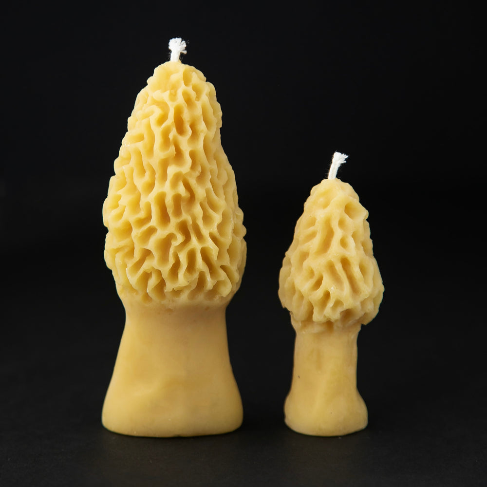 Two golden beeswax candles shaped like morel mushrooms standing side by side on a black backdrop. One is 4.5" tall, the other is 3" tall.