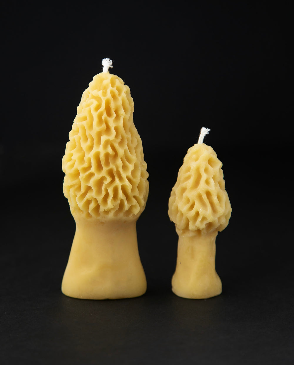 Two golden beeswax candles shaped like morel mushrooms standing side by side on a black backdrop. One is 4.5