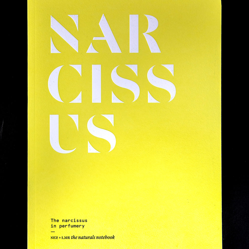 "Narcissus in Perfumery" book on black background. The cover is yellow and reads "NARCISSUS" in bold white letters