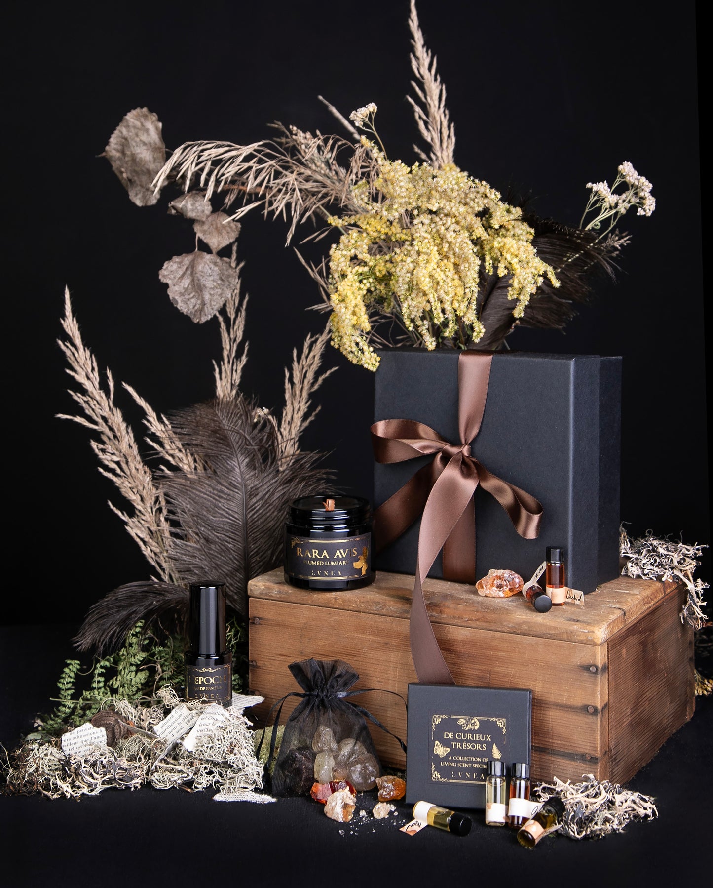 items from LVNEA's limited edition "Histoires Naturelles" box  in a still life propped around an antique wooden crate and various natural specimens