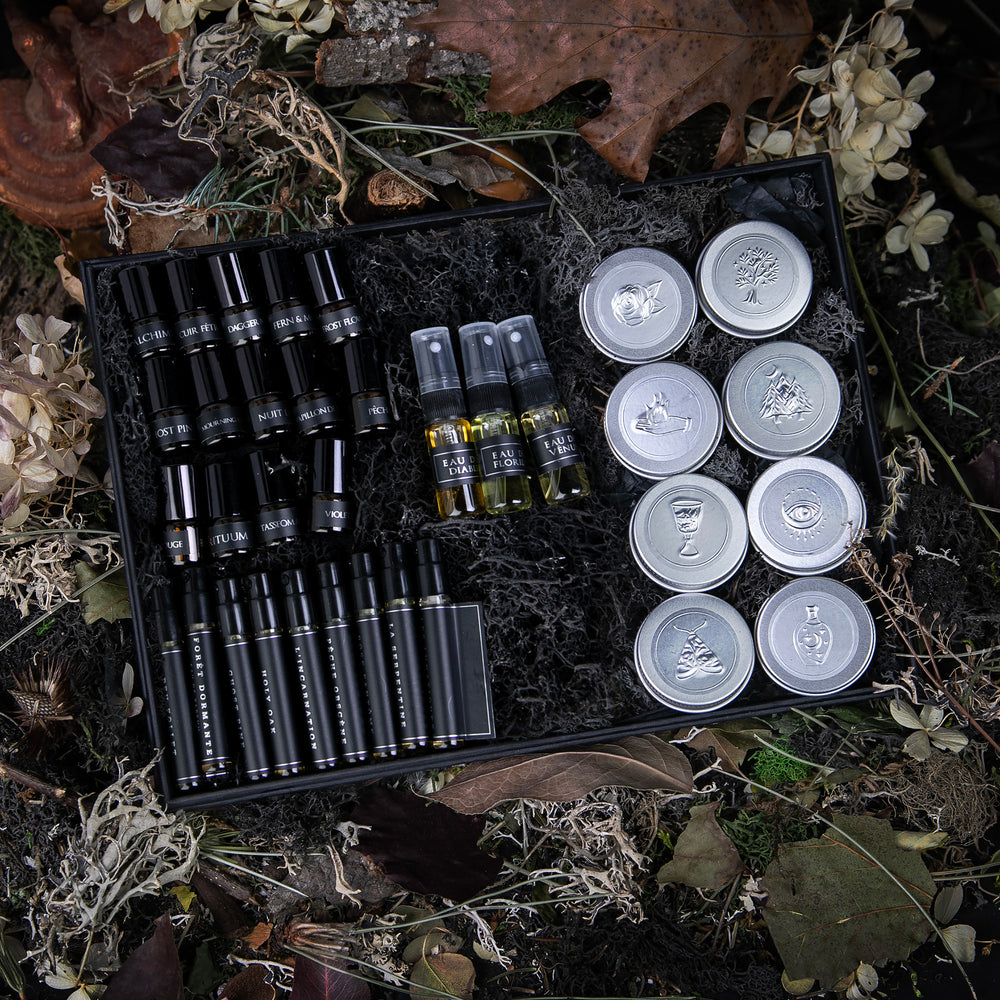 Sample set of LVNEA's entire signature line of perfumes in a black moss-ladden box, sitting on a bed of dead leaves and dried botanicals.