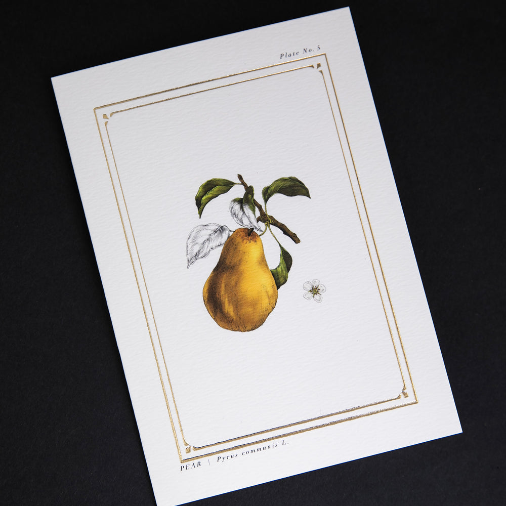 Cream-coloured card with gold foil border and illustration of a pear, sitting on black background