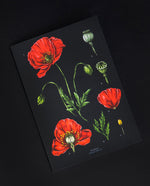 Greeting card featuring illustration of red poppies on a black background