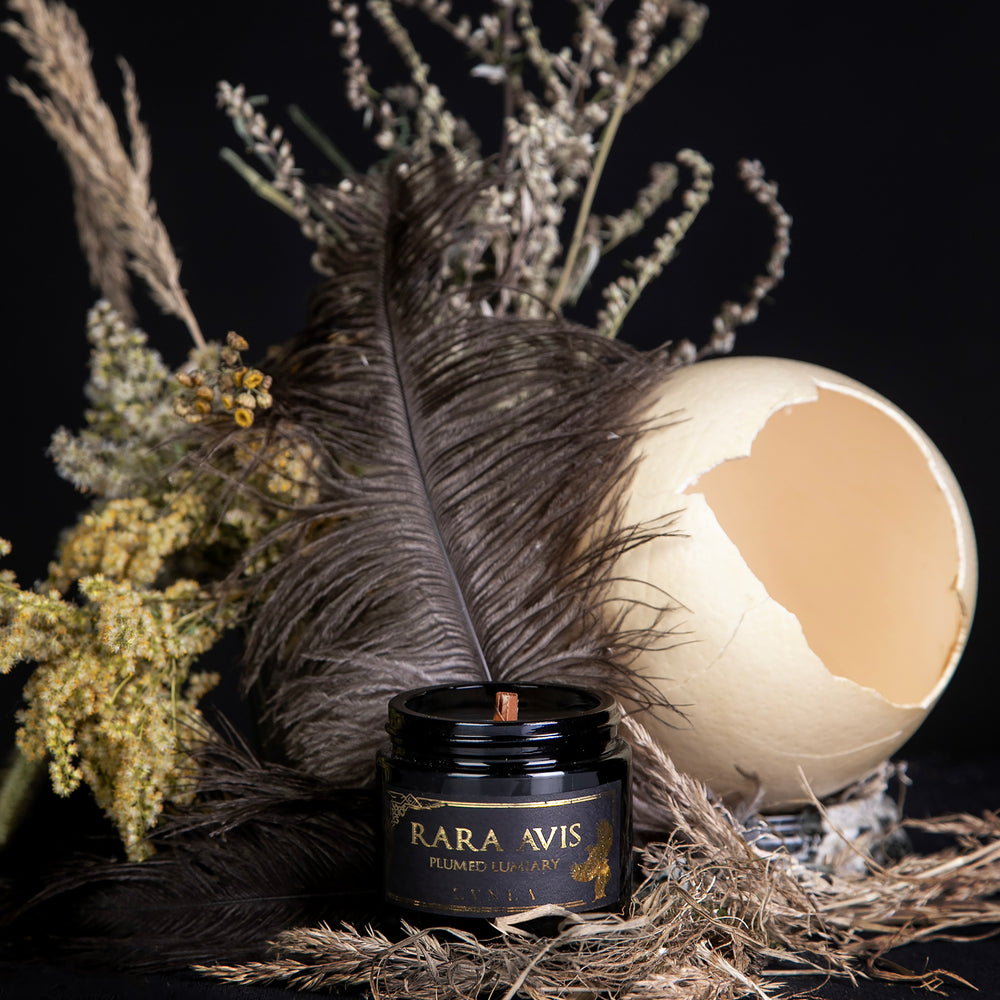 
                      
                        LVNEA's limited edition "Rara Avis" candle presented in a black glass container, and staged surrounded by feathers, dried botanicals, and a large emu egg.
                      
                    