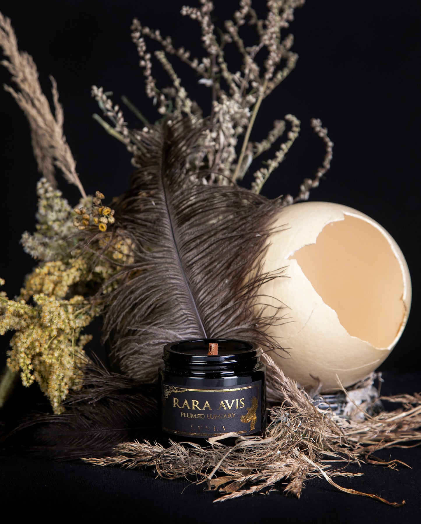 LVNEA's limited edition "Rara Avis" candle presented in a black glass container, and staged surrounded by feathers, dried botanicals, and a large emu egg.