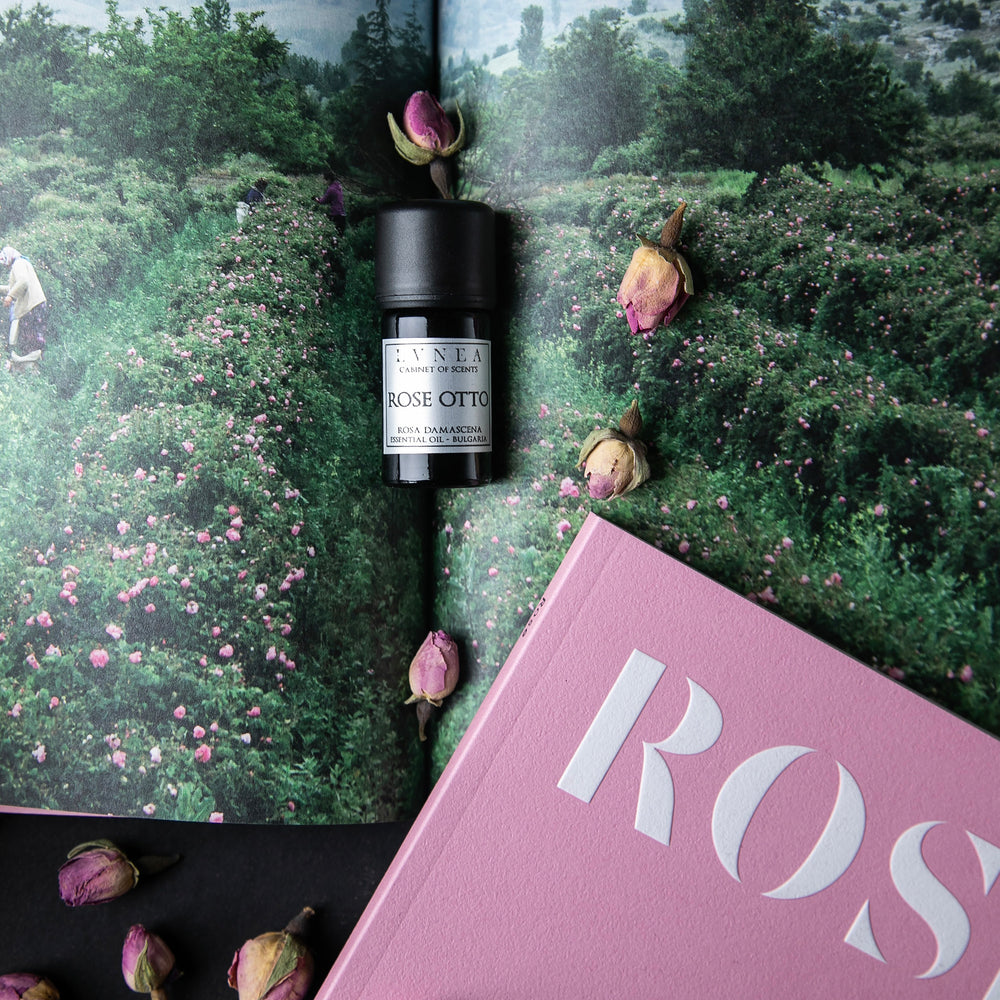 bottle of rose otto essential oil sitting atop an open book showcasing a photo of a rose field