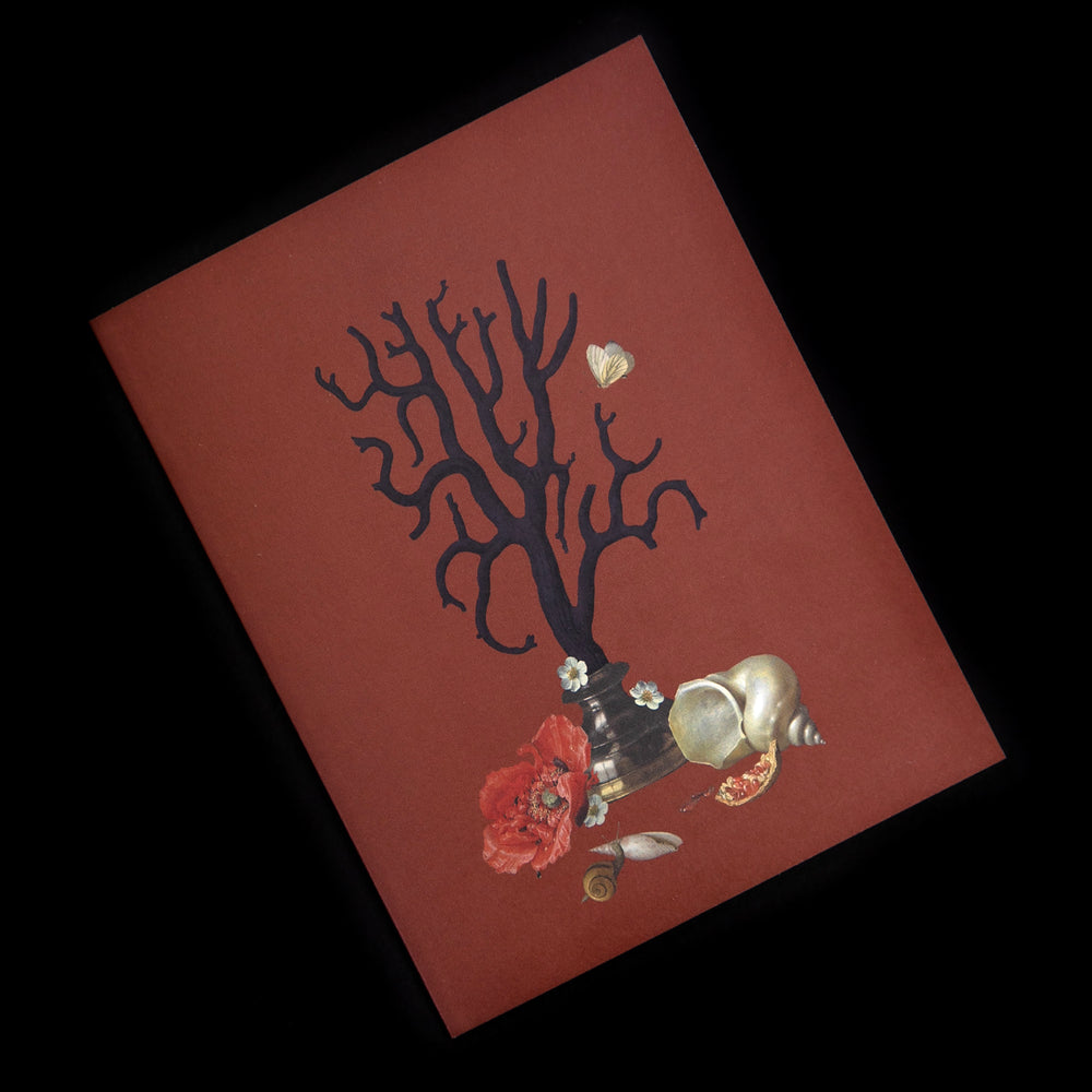 red card with illustration of black and white sea themed creatures
