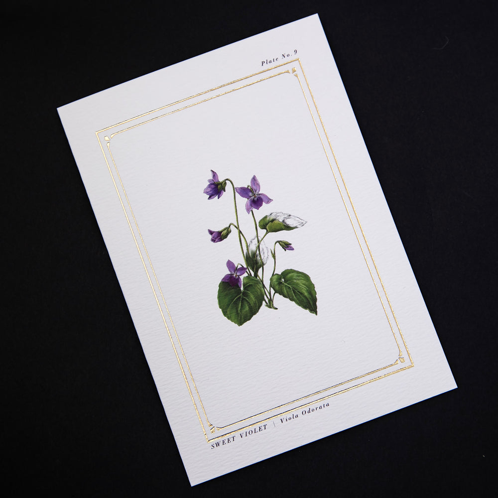 card with botanical illustration of violet surrounded by gilded frame