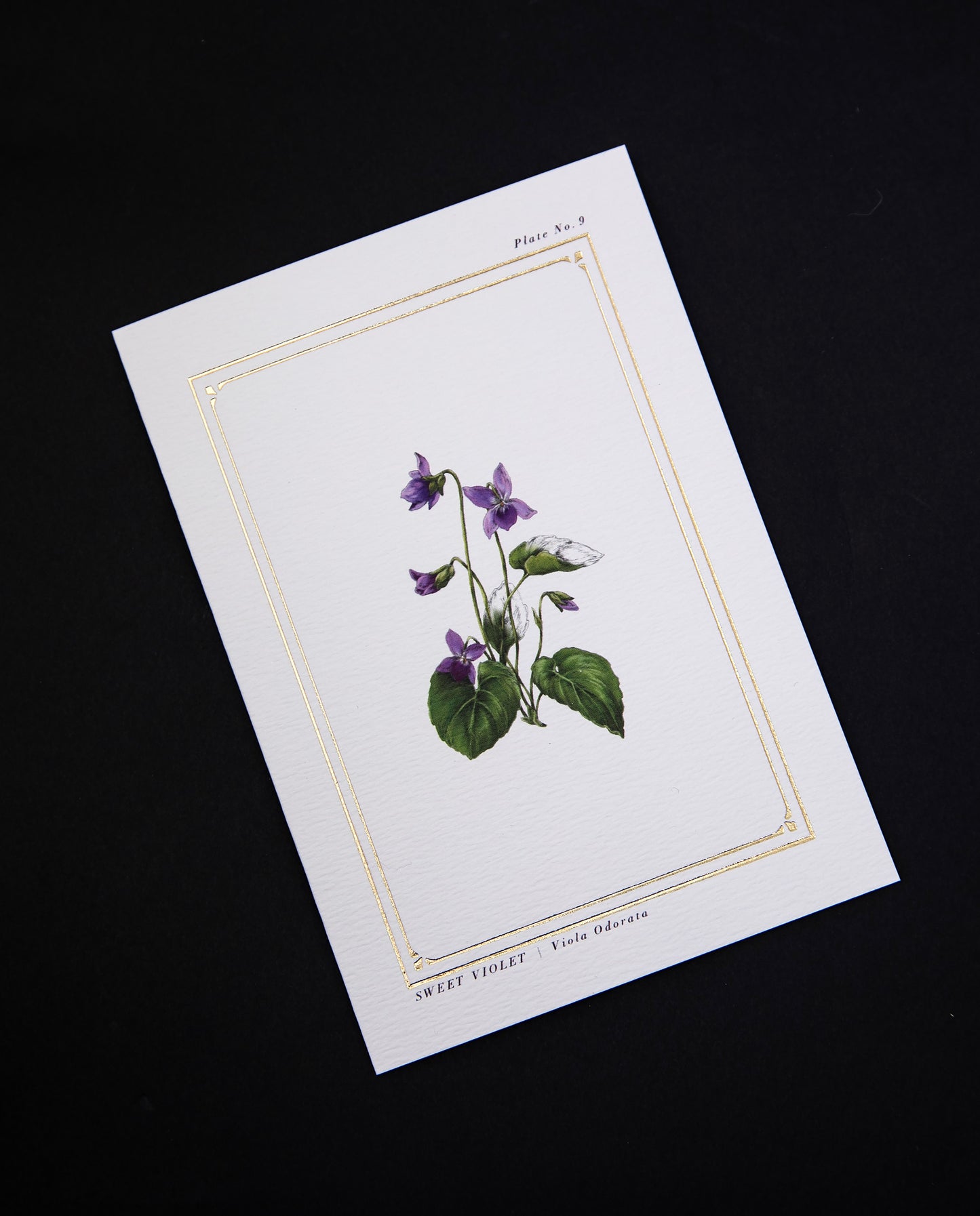 card with botanical illustration of violet surrounded by gilded frame