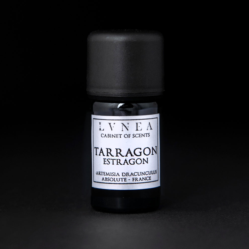 5ml black glass bottle of LVNEA's tarragon absolute on a black background. The label on the bottle is silver.