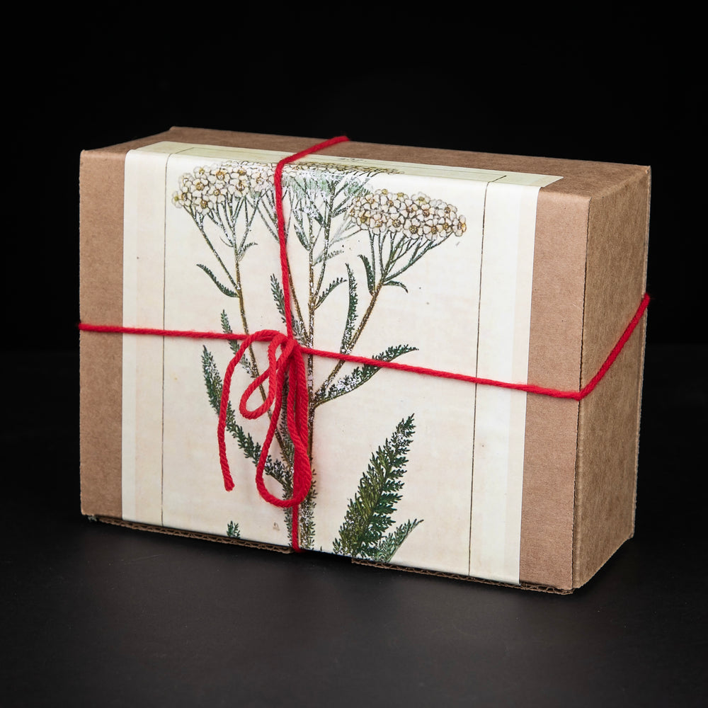 Kraft cardboard tea tasting giftbox featuring illustration of yarrow and a red string bow.