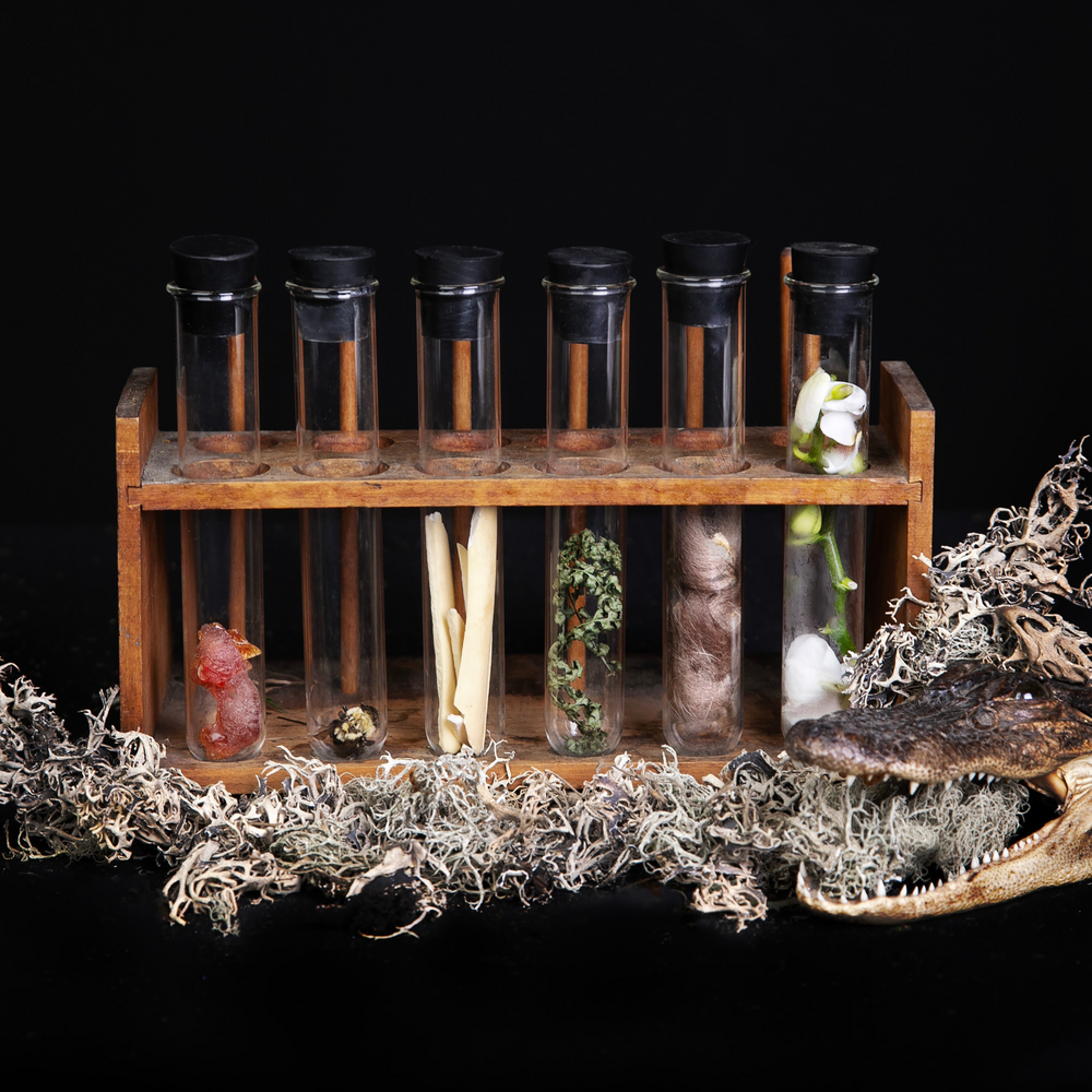 
                      
                        six glass vials in an antique wooden vial holder, each filled with natural materials representing a different olfactory specimen in the "curieux tresors" collection
                      
                    