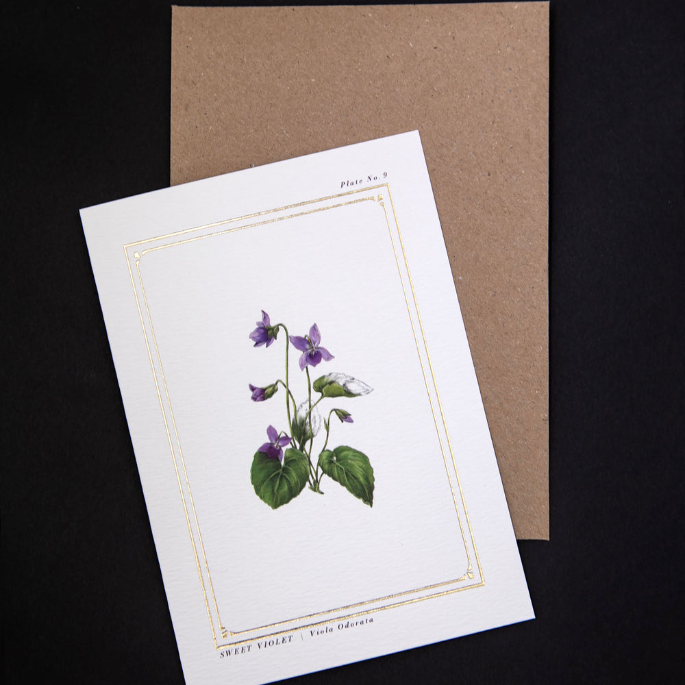 
                      
                        white card and kraft envelope against black background
                      
                    