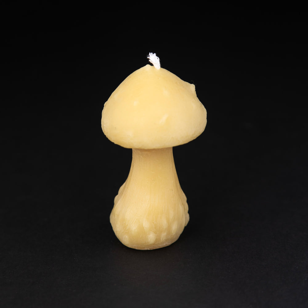 Small mushroom-shaped beeswax candle, standing upright against a black background.