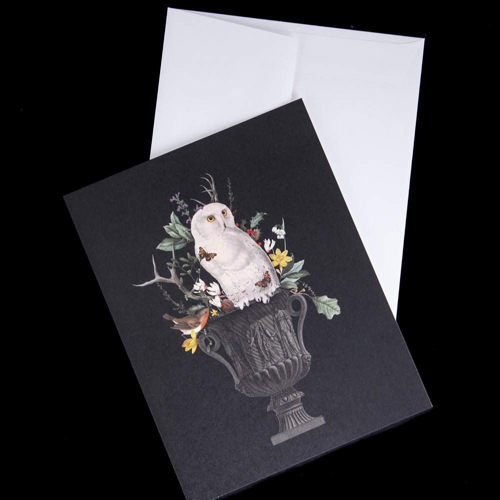 
                      
                        owl greeting card against its white envelope
                      
                    