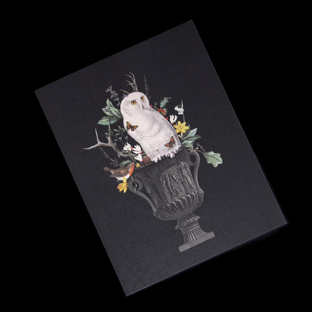 
                      
                        black greeting card featuring an illustration of an owl and botanicals in large vintage-style planter
                      
                    