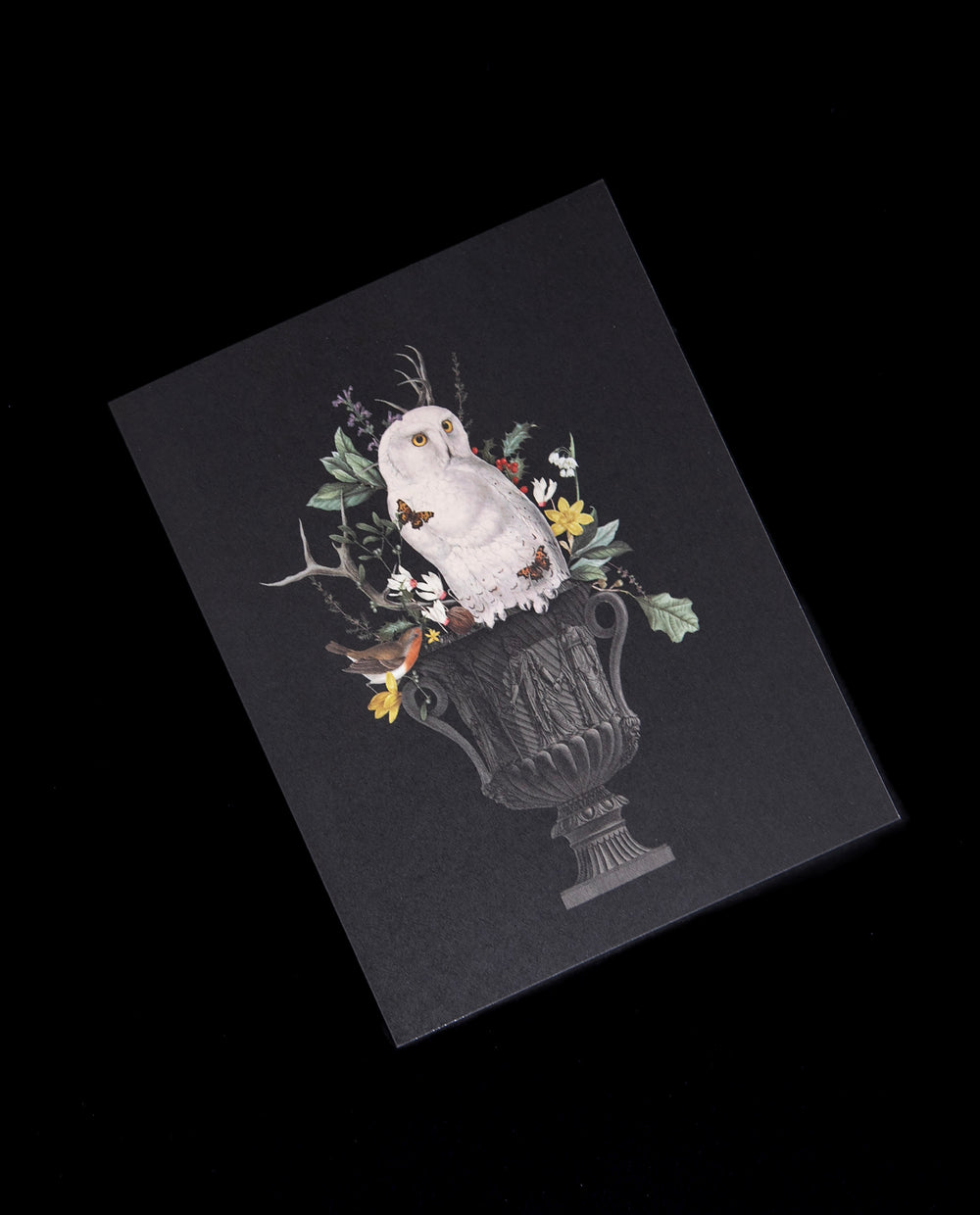 black greeting card featuring an illustration of an owl and botanicals in large vintage-style planter