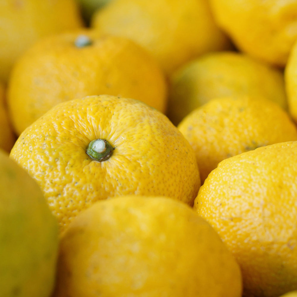 close up of yuzu fruit