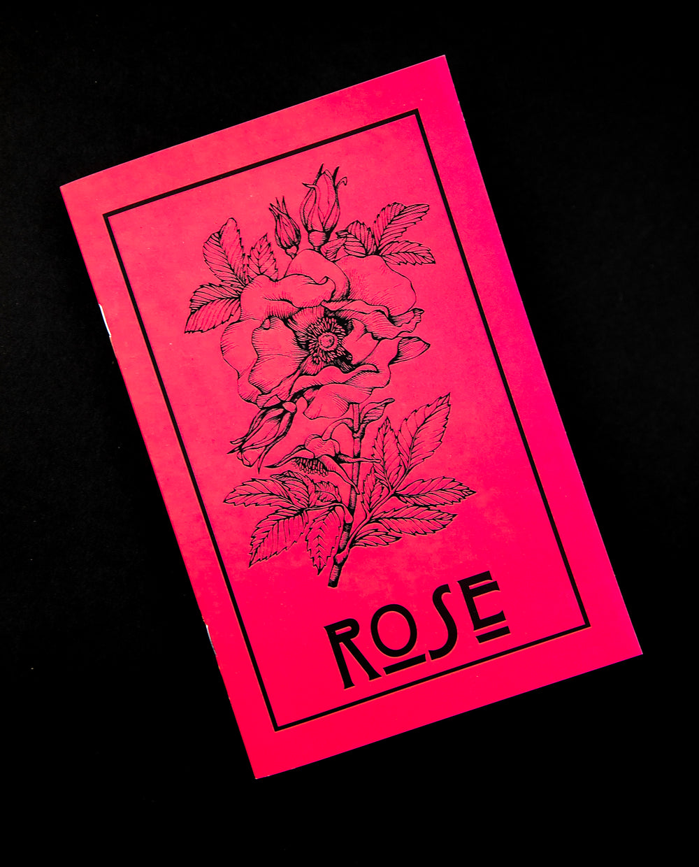 Herbal Revolution's zine about roses on black background. The cover is red, reads 