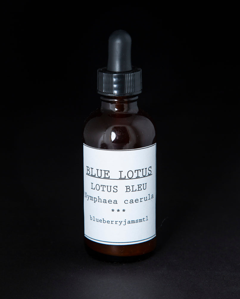 Blue Lotus Tincture | BLUEBERRYJAMS